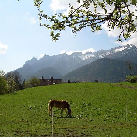 Appartamento Bachbauernhof Bayerisch Gmain Esterno foto