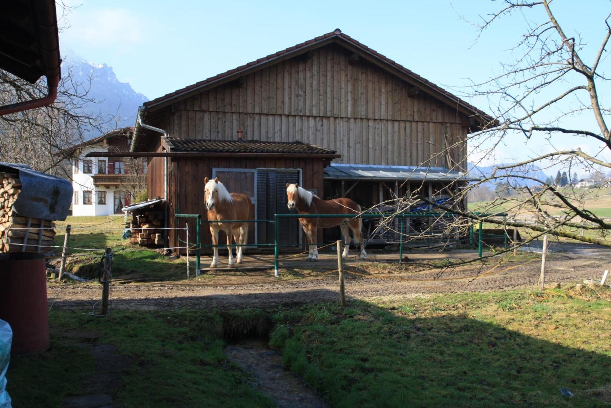 Appartamento Bachbauernhof Bayerisch Gmain Esterno foto