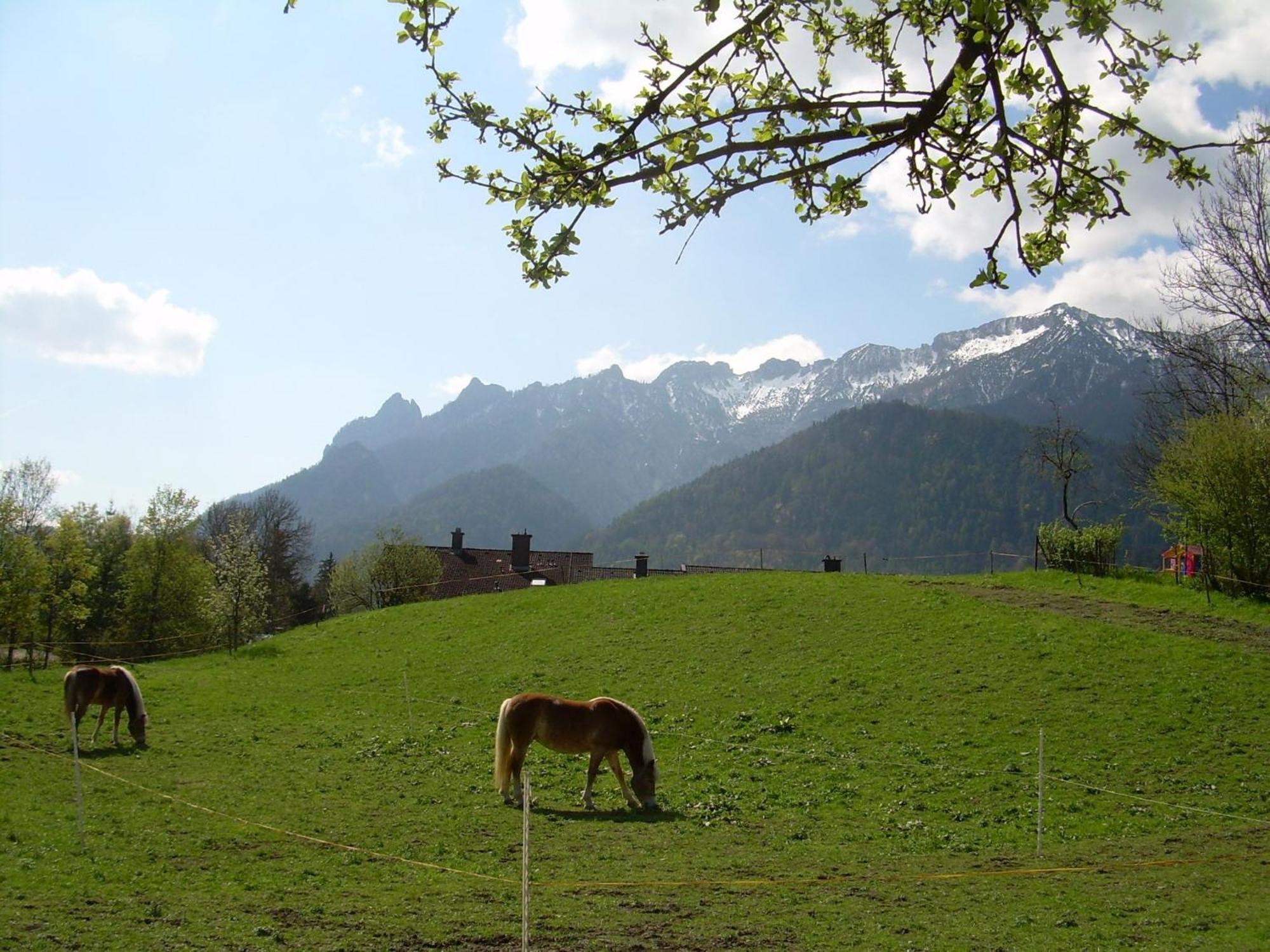 Appartamento Bachbauernhof Bayerisch Gmain Esterno foto