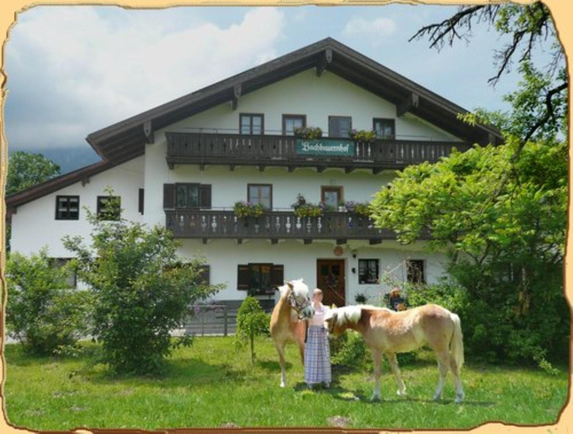 Appartamento Bachbauernhof Bayerisch Gmain Esterno foto